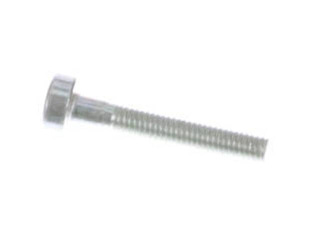 Echo Screw 5X30 - V805000050