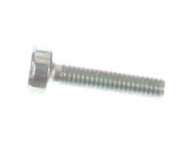Echo Screw 5X20 - V805000160