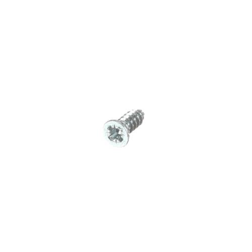 GE Screw #8 - WE2M170