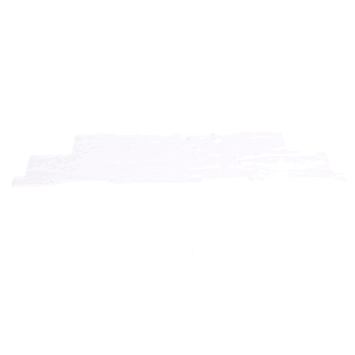 Whirlpool Shield - W11393126