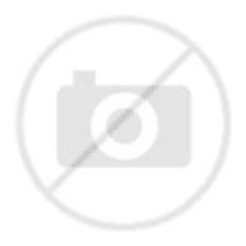 Bertazzoni Spark Plug For Oven - 415076