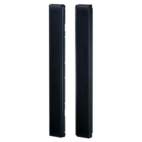 Panasonic TYSP65P10WK Speaker Unit