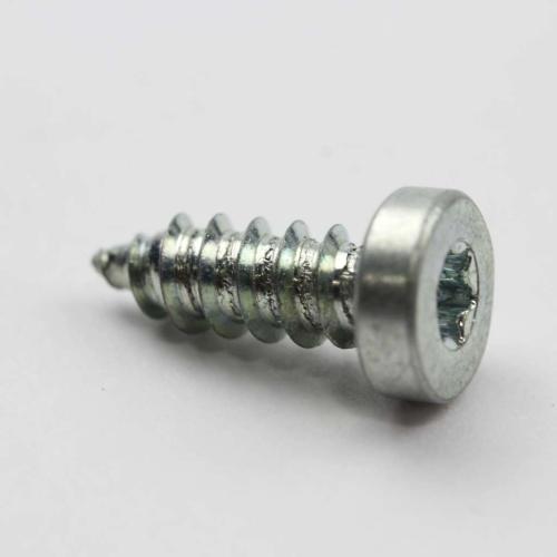 GE Scr 10-16 Ab Pnt20 1/2 S - WR01X10590