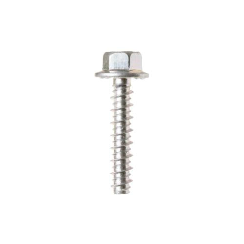 GE Scr 1/4 Pl Hxw 1 1/4 S - WH02X10393