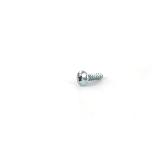 GE Screw # 10 - WE2M174