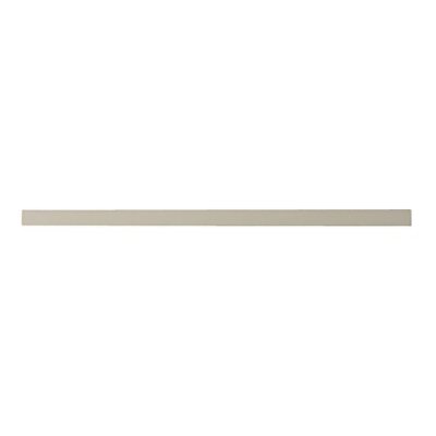 Whirlpool Door Trim - W10755284