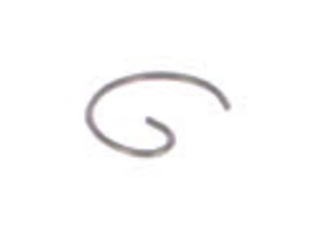 Echo Retaining Ring - 10001504630