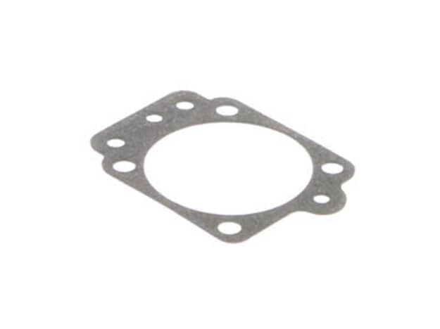 Echo Gasket-Metering Diaphragm - 12314005560