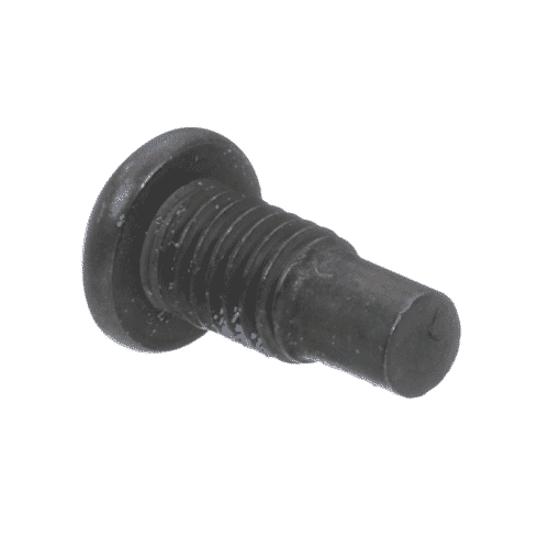 Bosch Screw - 1609B00367