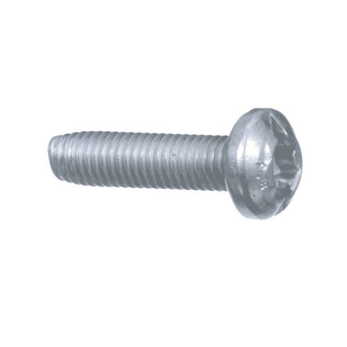 Bosch Tools Torx Oval-Head Screw - 1613435016