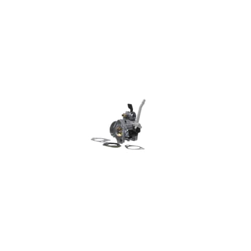 Briggs Stratton Carburetor - 799882