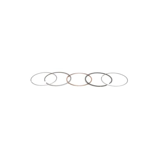 Briggs Stratton Ring Set - 843806