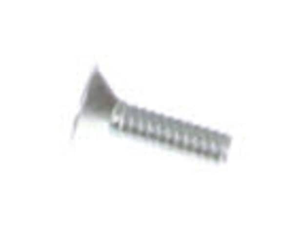 Echo Screw 4X12 - 90021204012