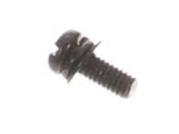 Echo Screw-4X10 - 90023804010