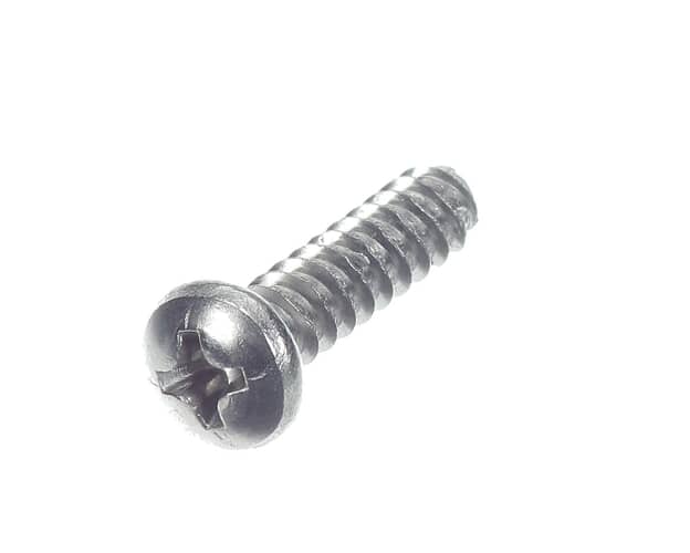 Amana Pan Head Thread Rolling Screw RoHS - 13041504