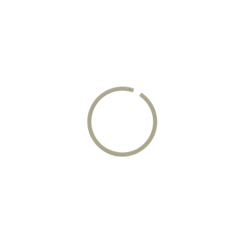 Bostitch Piston Ring - N905972