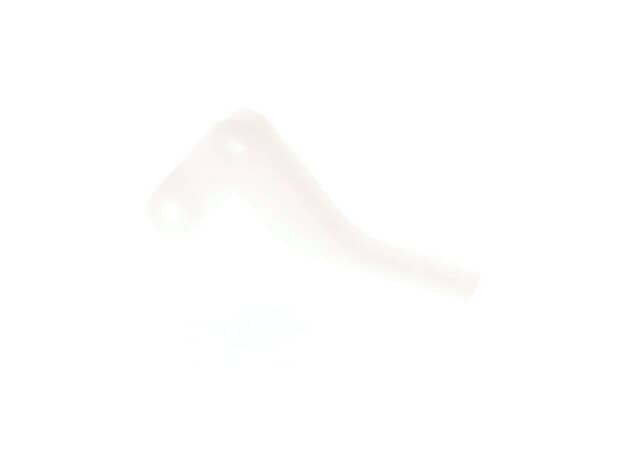 Echo Control-Throttle - C450000060