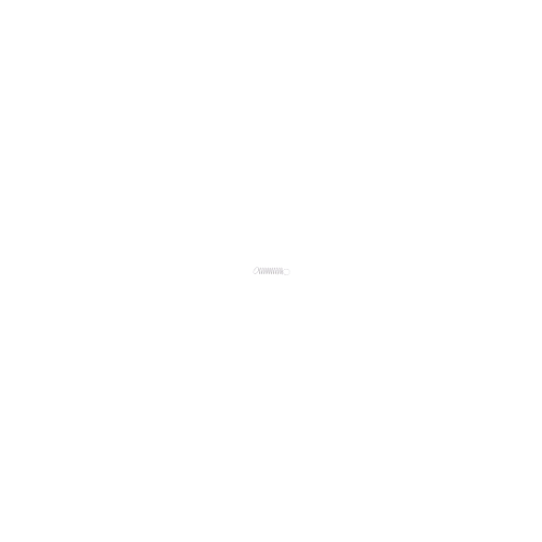 Craftsman Governor Spring - 36281