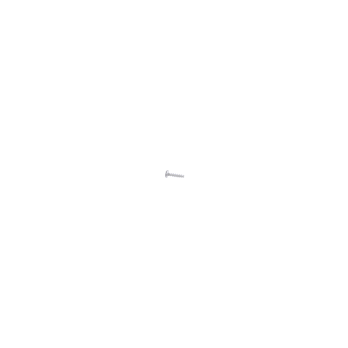 Craftsman Torque Screw - 710-04329