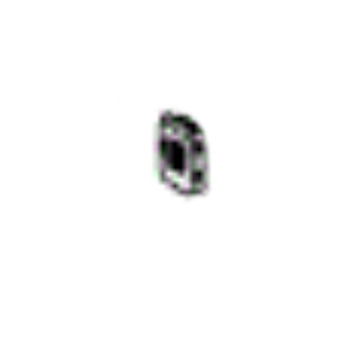 Briggs Stratton Nut - 700397