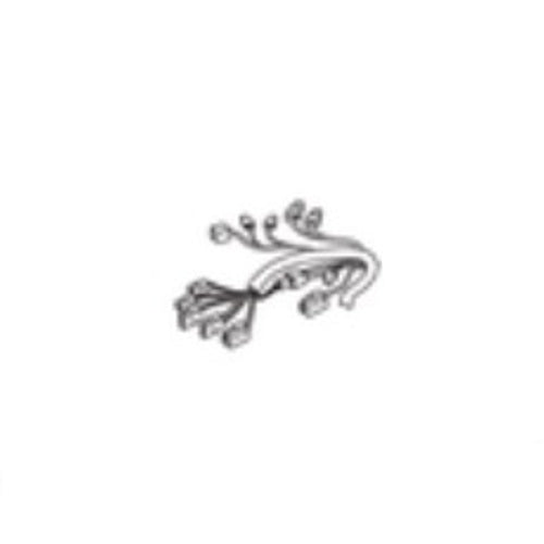 Whirlpool Burner Box, Outer - 4380024