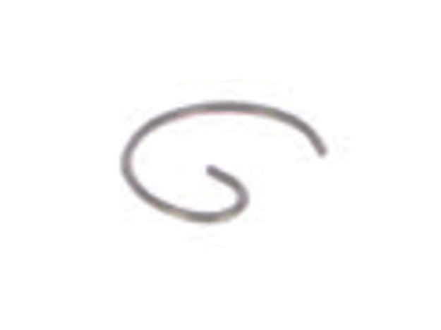 Echo Retaining Ring - 10001504630
