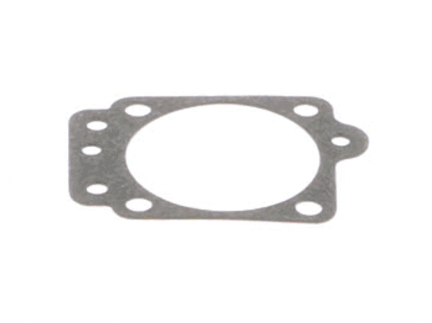 Echo Gasket-Metering Diaphragm - 12314005560