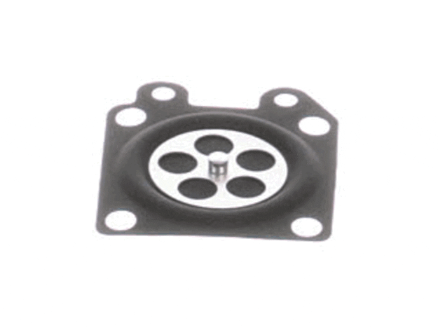 Echo Diaphragm-Metering - 12314103930