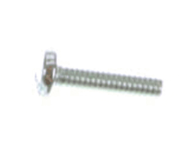 Echo Primer Cover Screw - 12531011610