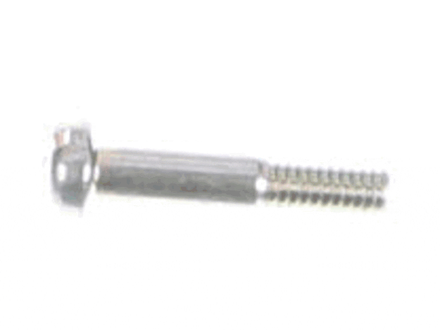 Echo Screw - 17811005330
