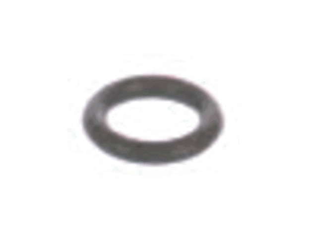 Echo O-Ring - 43702002830