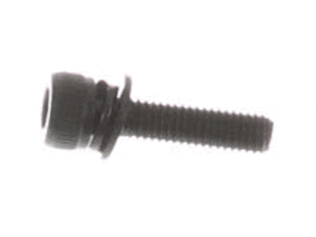 Echo Screw-5X20 - 90016205020