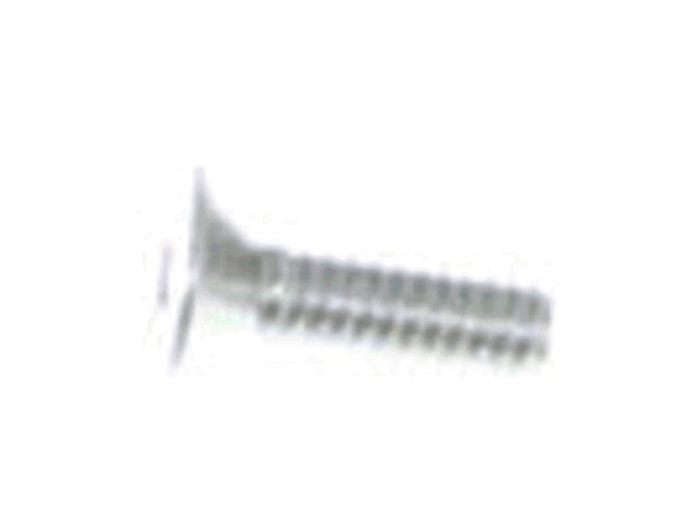 Echo Screw 4X12 - 90021204012