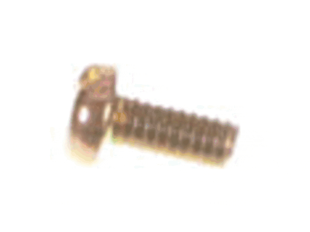 Echo Screw 4X8 - 90022004008