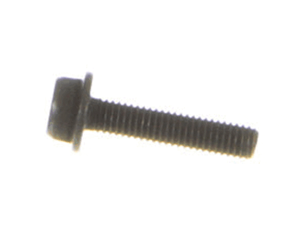 Echo Screw 5X22 - 9110705022