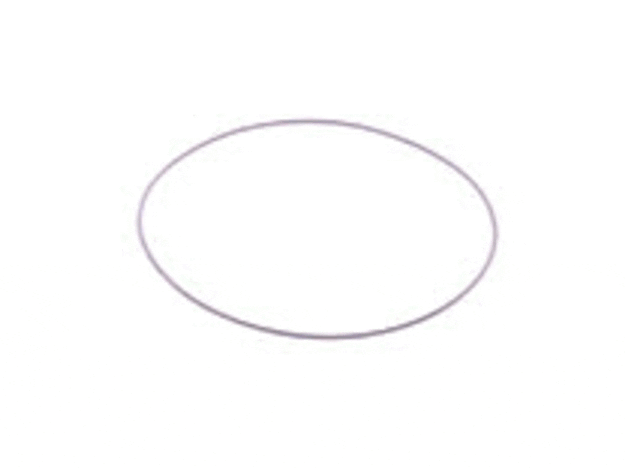 Echo O-Ring - P005000280