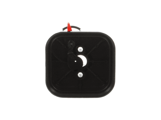 Echo Case-Air Cleaner - P021013820
