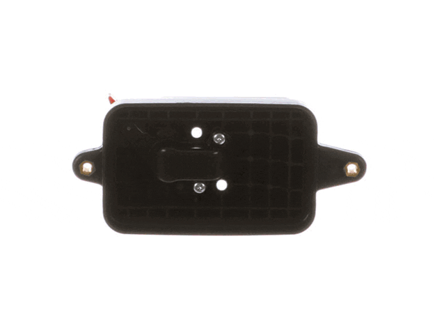 Echo Case-Air Cleaner - P021015001