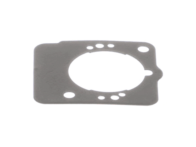 Echo Cylinder Gasket - V100000160