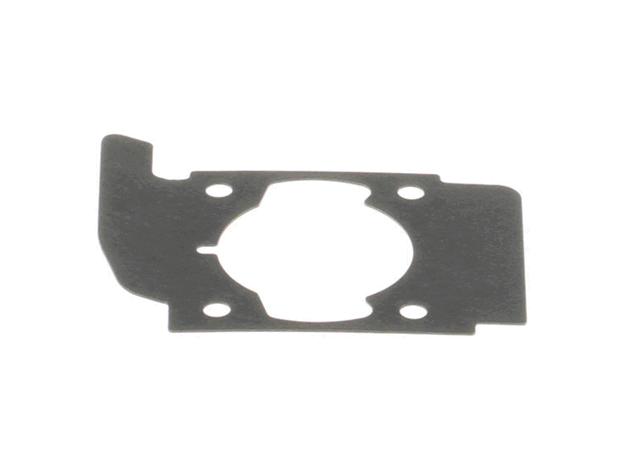 Echo Gasket-Cylinder - V100000190