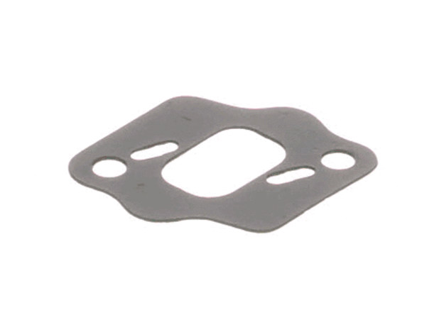 Echo Gasket-Intake - V103000000