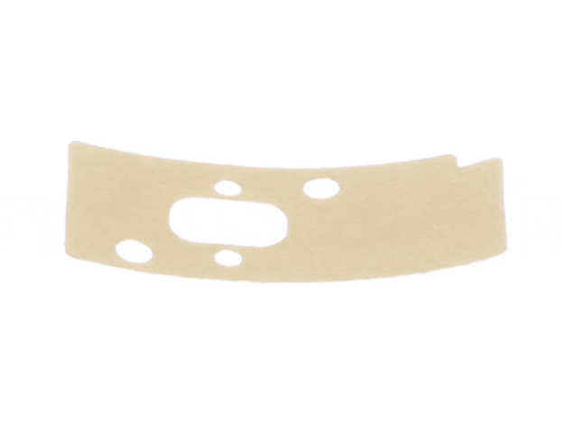 Echo Gasket-Intake - V103000390