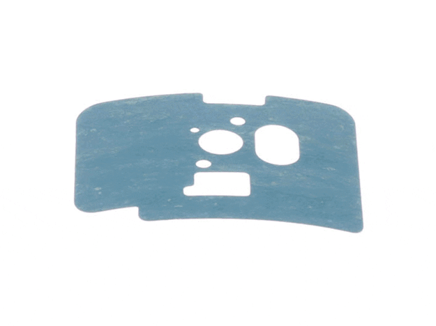 Echo Gasket-Intake - V103000461