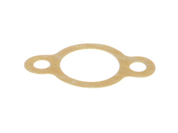 Echo Gasket-Intake - V103000471