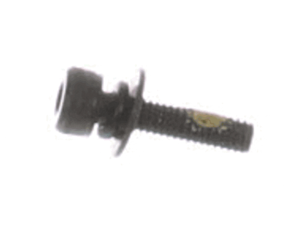 Echo Bolt M4X16 - V202000200