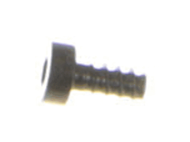 Echo Screw 4X8 - V252000040