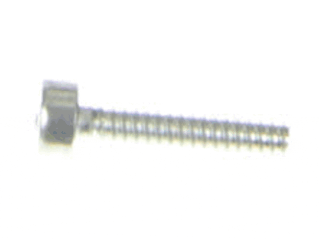 Echo Screw 4X20-Tapping - V804000020