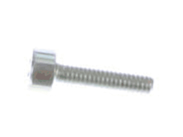 Echo Screw - V804000060
