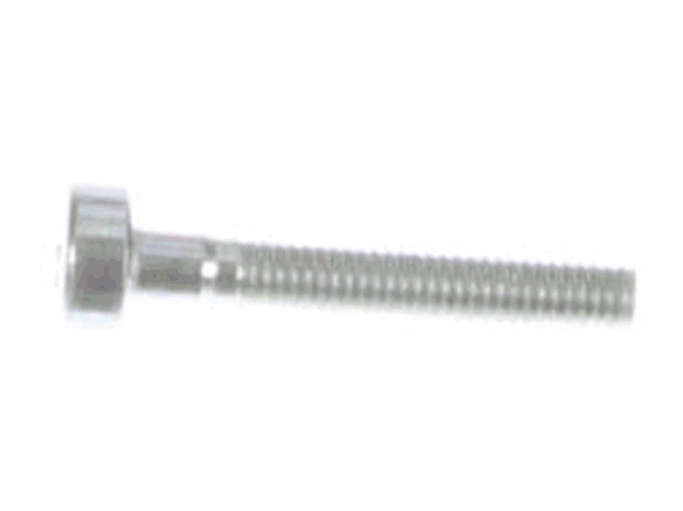 Echo Screw 5X30 - V805000050