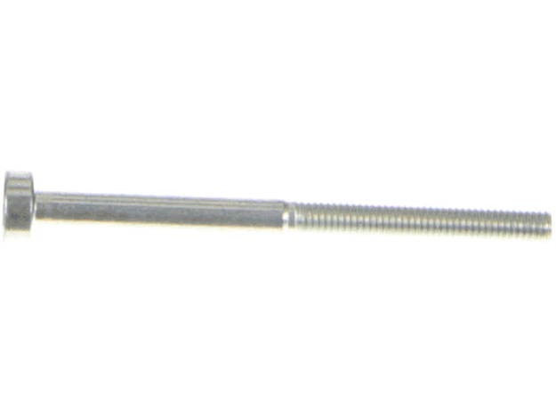 Echo Screw 5X65 - V805000100